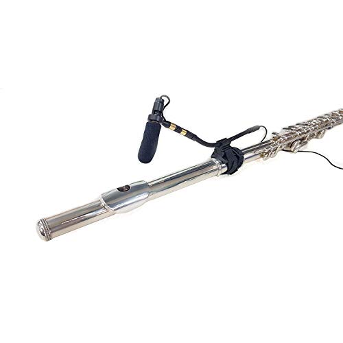 Best Flute Microphones Expert Review The Modern Record