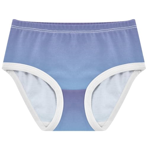 Joisal Cotton Girls Underwear Toddler Violet Sky Blue Gradient Panties for Girl Florals Underpants Briefs 2t