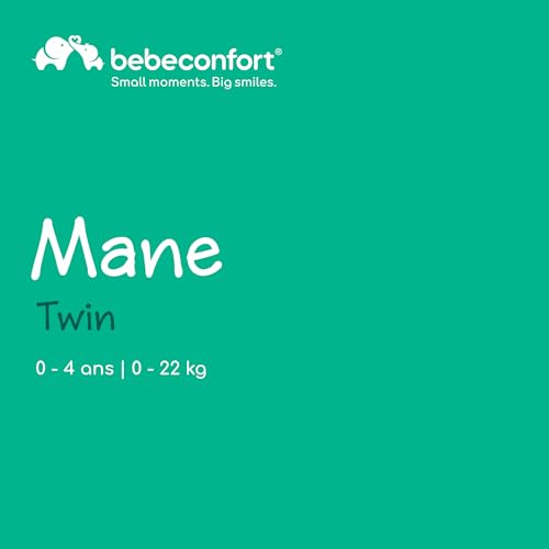 Bebeconfort Mane, Poussette Double, 0+ à 22 kg, Pliage Automatique, Inclinable À Plat, Arceau Pivotable, Harnais 5 Points, Fenêtre En Filet, Housse De Pluie, Sac De Courses (8 kg), Mineral Graphite – Image 3