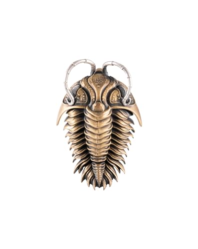 COPPERTIST.WU Kinetic Pendant Necklace Invertebrate Ancient Animal Charm Jewelry Gift for Men and Women