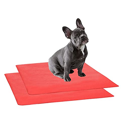 Image of Trance Waterproof Pet Training Pads | Reusable Pee Pad for Dogs Cats Puppy | Washable Pet Dry Sheet | Potty Trainer | Soft and Hypo-Allergenic (Small, Size 0.5 x 0.7 m | 50 x 70 Cms, Coral)- Pack Of 2