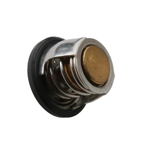 Thermostat d'eau J125 idéal pour vos trajets quotidiens en GTS125 - 2