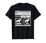 Wilsigns Leonberger Designs