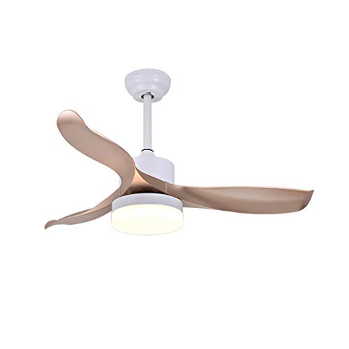 Ventilateur de plafond LED LiChA lustre salon chambre plafonnier moderne