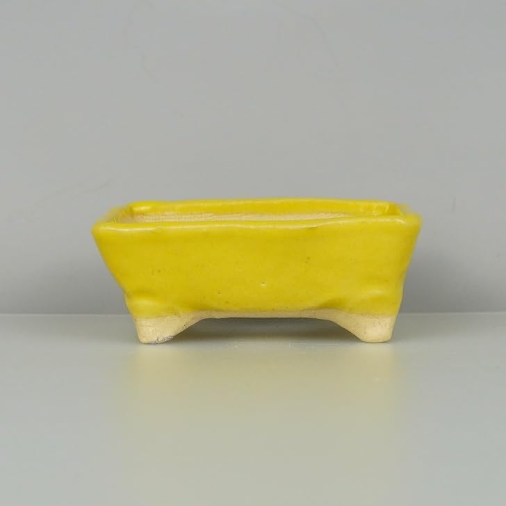 Amazon.co.jp: 盆栽鉢 ゆうき祥石 小鉢 長辺 約7.5cm 長方鉢 黄釉 釉薬