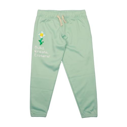 Minecraft Youth Hoodie and Sweatpant Set4