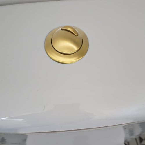 Botón de inodoro de oro cepillado para cisterna doble compatible con Optima49 de Twyford 8