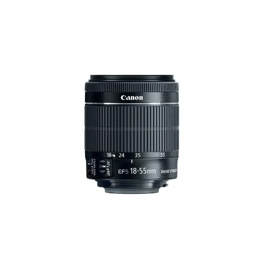 Canon EF-S 18-55mm STM Zoom Lens