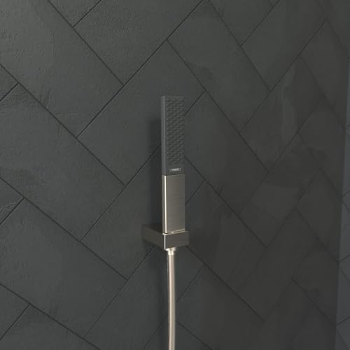 Support de pommeau de douche hansgrohe Porter E 28387821 mural