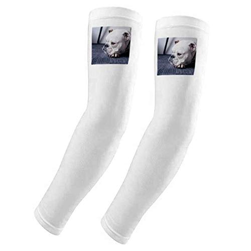 Housse de gants pour chien gris idéale pour le toilettage maison