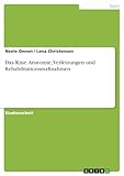 GRIN Verlag