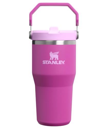 STANLEY IceFlow 2.0 Flip Straw Tumbler with Handle 20 oz | Twist On Lid and Flip Up Straw | Leakproof Water Bottle | Insulated Stainless Steel | BPA-Free | Dark Blossom