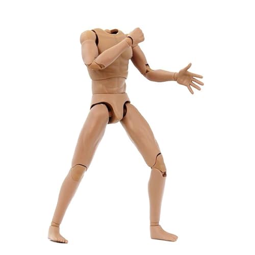 Figurine d'action 1/6 corps masculin premium sans tete avec membres de rechange