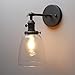 PERMO Industrial Vintage Single Sconce with Oval Cone Clear Glass Shade 1-Light Wall Sconce Wall Lamp (Black)