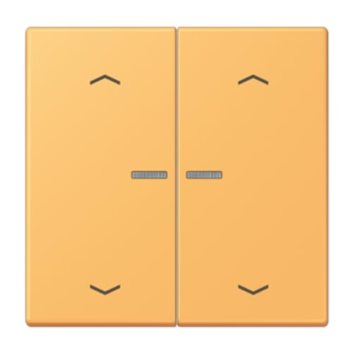 Touche JUNG HOME 2 phases volet roulant LC4320L connectée JUNG BTLC17102P254