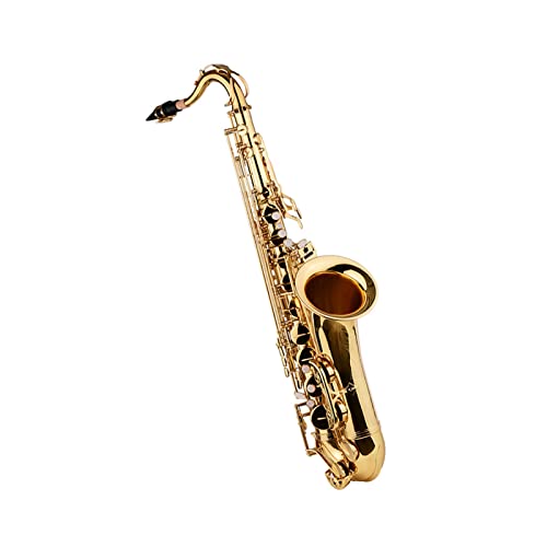 ؊Ǌy Bb ei[TbNX ^J{fB S[h L[P[Xt  TbNX lbNXgbv