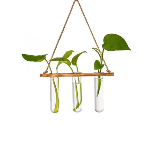 ecofynd 1-Tier Wall Hanging Test Tube Planter with Wooden Holder, Air Planter Glass Vase Holder with 3 Test Tube, Home Decor Hydroponic Plant Stand for Living Room, Office (TTP008) (B0CQVCF3D9) Amazon Price History, Amazon Price Tracker