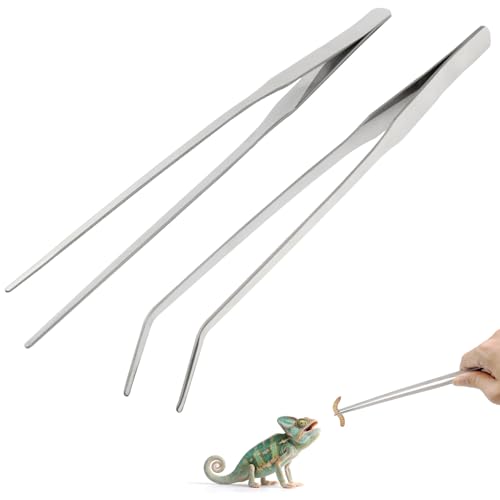 Syn-zer 2PCS Stainless Steel Reptile Feeding Tongs 10.6 inch Straight and Curved Tweezers for Aquarium Terrarium & Crafts Bearded Dragon Snake Tank Accessories Planted Tank Tools Feeder for Lizards