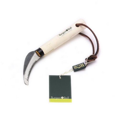 Burgon & Ball Rasen-Unkrautmesser, 20 cm Länge