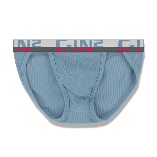 C-IN2 C-Theory Dash Brief4