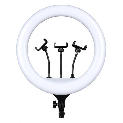 Image of 10 Inch LED Ring Light with Mobile Holder | 3 Color Lighting Modes | Adjustable Brightness | USB Powered Selfie Ring Light for Photography, Makeup, Video Recording