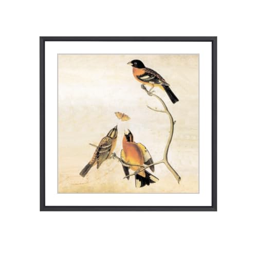 BKABOT 9x9 Black Square Picture Frame HD Glass 1Pack 8x8 Mat Tabletop Wall