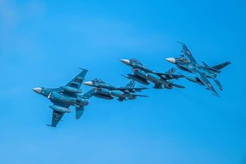 y{̕i|XgJ[hz  z q󎩉q F16 s ͂ tHgJ[hyY photo by daikegoro