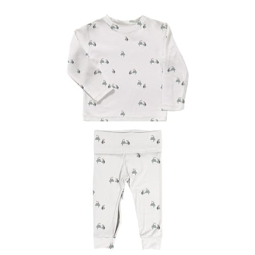 GUNAMUNA Unisex Baby Two-Piece Footie Pajama Set, Easy Diaper Change Zipper, For Infant and Toddler Nap Time, Penguin, 3-6 Months
