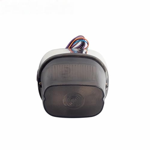 Freno en funcionamiento y luces traseras con acabado premium para modelos FLSTF 3
