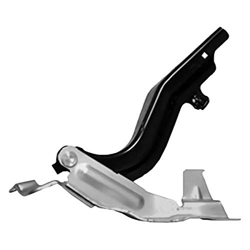 Amazon.com: Replace NI1236181 - Passenger Side Hood Hinge : Automotive 