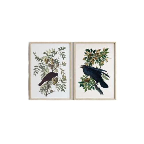 Póster de cuervo y aves para regalo original, set de dos cuadros sin marco de 30x45cm 2