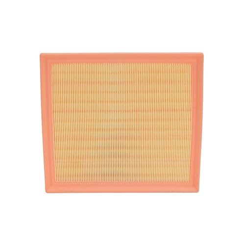 Filtro de autopartes 1109105TP10R para un rendimiento óptimo del motor del coche