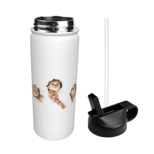  ʔ ˂ L L X|[c{g @r e q l  Xg[t ۉۗ  v[g Mtg