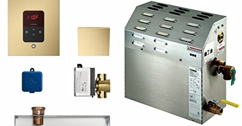 Mr. Steam Ms225E Steam Bath Generator With Square Butler Package In Satin Brass cover