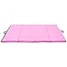Giantex 6 ft x 4 ft Gymnastics Mat, Folding Anti-Tear Exercise Floor Mats W/Handles,Hook and Loop Fastener,Portable Folding Tumbling Mat Lightweight Gymnastics Panel Mat for Yoga, Workout (Pink)