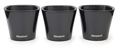 Window Garden – Aquaphoric Self Watering Mini Planter Pots (3 Pack) – Grow On Indoor Sill. Perfect for Potting Small House Plants, Herbs, African Violets, Succulents, or Start Seedlings. (Black Gloss)