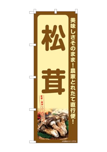 ̂ڂ艮H[(Noboriyakobo) SNB-7340  W600×H1800mm 1  OO |W  ɐ 󒍐Yi