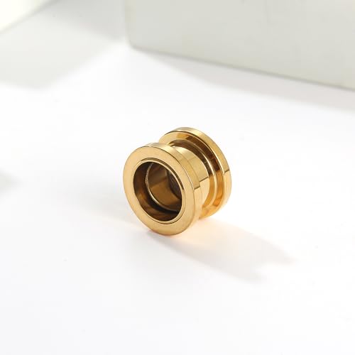 LOMISS ALARGADOR AÇO CIRÚRGICO PVD RESINA BRANCA (16)