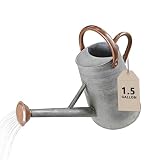 Watering Can for Outdoor&Indoor Plants，1.5 Gallon（5.7L） Metal Watering Can with with Removable Spout，Large Galvanized Steel Garden Flower Water Can Watering Pot with 2 Handles，Rustic Silver