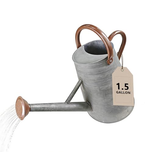 Watering Can for Outdoor&Indoor Plants1.5 Gallon5.7L Metal Watering Can with with Removable SpoutLarge Galvanized Steel Garden Flower Water Can Watering Pot with 2 HandlesRustic Silver