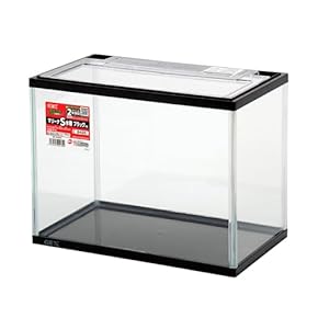 ま*こ様 1500×600×450水槽 ま*こ様 1500×600×450水槽