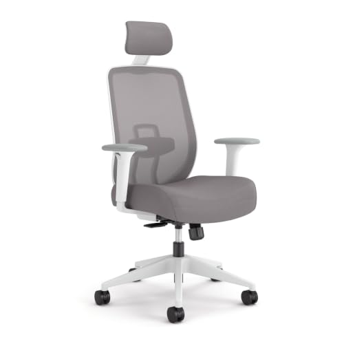 Image of HON Altern Ergonomic Office Chair, Office Desk Computer Chair, Frost