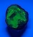 The Geode Mine Premium Quality Geode Half. 2-2.5 inch. Colorful Agate - Druzy Quartz - All Natural, no Dyes or Coatings! Fluorescent Under Short Wave Light.!