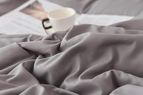 Colourful Snail Duvet Cover 3 Piece Set, Ultra Soft Double Brushed Microfiber Comforter Cover With Zipper Closure And Corner Ties, Queen/Full, Grey #TOP2