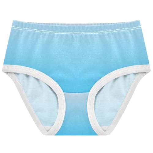 Joisal Durable Girls Underwear Toddler 2t Cotton Panties for Girl Magnolia Deep Sky Blue Gradient Kids Briefs Undies