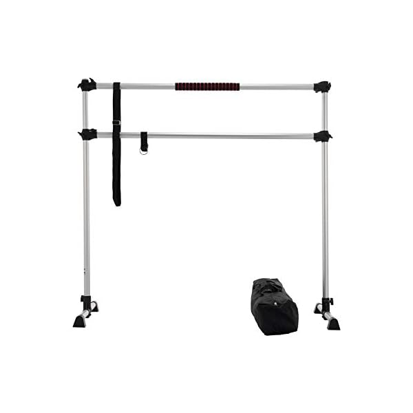 ZELUS Portable Ballet Barre for Home Gym | Freestanding Dance Exercise Equipment for Home Workouts Fitness Flexibility Training with Stretch Band and Tote (5ft, Silver)