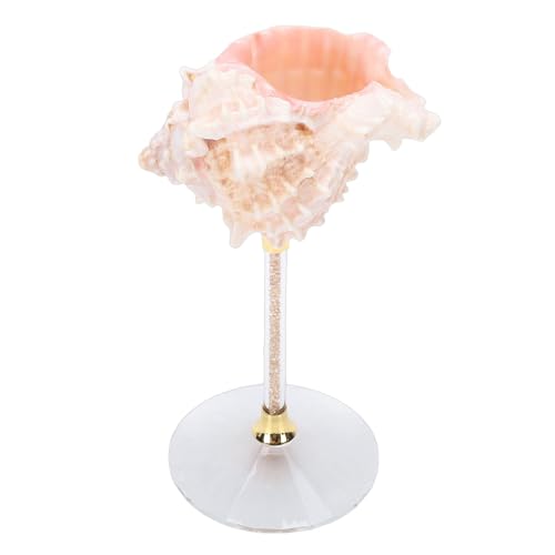 Copa de vino de concha elegante centro de mesa y taza de caracola para bebidas 6