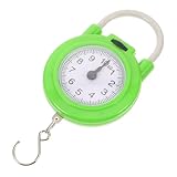 BAZEITFLOW Báscula Portátil de Resorte Pequeña para Maleta Peso Manual con Gancho Ligera y Precisa para Viaje Cabina y Equipajes