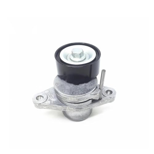Poulie de tension de courroie anti-vibration Nissan Sylphy II 1.6 moteur K4M OEM 11925-00Q1A