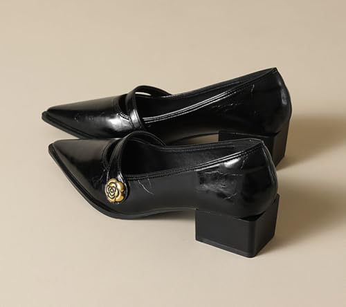 Mary Jane Shoes for Women Pointed Toe Chunky Low Heels Vintage Pumps Dress Shoes Adjustable Strap for Work Wedding Office Casual2